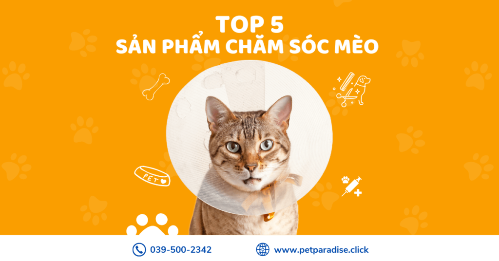 Sản phẩm chăm sóc cho mèo