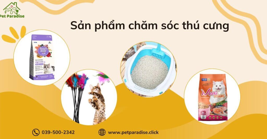 Tiêu chí lựa chọn sản phẩm chăm sóc mèo chất lượng