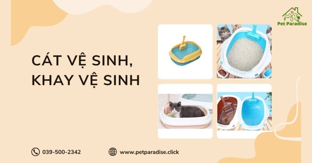 Sản phẩm vệ sinh