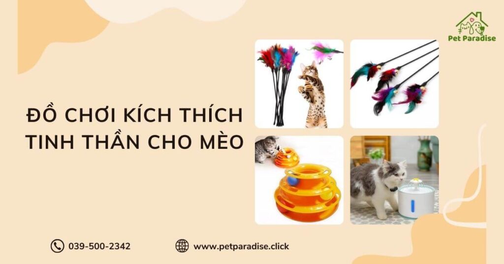 Đồ chơi kích thích tinh thần cho mèo