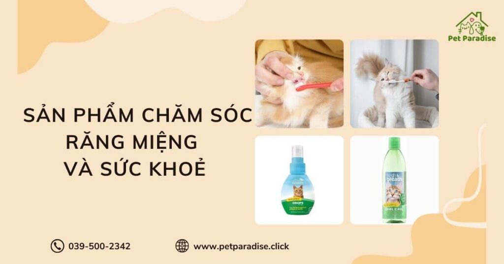 Sản phẩm chăm sóc răng miệng và sức khoẻ